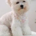Pink and white pearl pet necklace for small dogs and cats with golden beads - Gypsophila Crystal Beaded Necklace-Pink