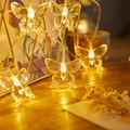 Warm light butterfly-shaped LED string lights for outdoor camping and romantic decor - Butterfly (warm Color) / 1.5m 10LED Battery