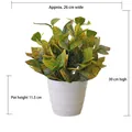 Artificial 30cm Croton plant in a white ribbed pot for indoor desktop decoration - Large Pot + Gold Dust Leaf