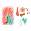 Flat lay of pink hydrangea, yellow strawflowers and fern leaves for DIY floral crafts - 01 Dried Flower 1 Box 28g