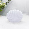 Elegant white shell jewelry box with glossy finish on soft white plush fabric - White