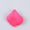 Single decorative artificial non-woven rose petal in pink color on white background - Peach Red Gradient