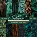 6x6 inch Cypress themed scrapbooking paper pad with 12 nature designs on 160gsm cardstock - 22017a 24 Sheets