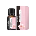 Huile essentielle d'aromathérapie Sakura 10ml avec boîte pour humidificateur - Fleur de cerisier / 10ml