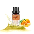 10ml Pure Tangerine Essential Oil in amber glass bottle with fresh citrus background - Tangerine (red Tangerine)