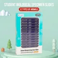 12pcs student biological specimen slides set with animal tissues for kids microscope - 12-Piece Set / Animal Specimens