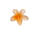 Translucent orange-pink gradient plumeria hair claw clip in resin for floral hairstyles - 9# Trumpet Flower Transparent Yellow
