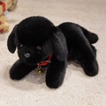 Niedlicher schwarzer Labrador-Plüschhund mit rotem Halsband und goldenem Glöckchen - Schwarz / 33CM