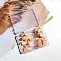 Disposable double-sided eye shadow brushes with peach and white sponge tips in clear box - 6.5cm Clear Handle Skin White Sponge - 25 Pcs Box