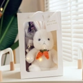 Plüschhase Geschenkset mit Trockenblumen und LED-Lichtern in weißer Tragetasche - 30 cm / Geschenkbox