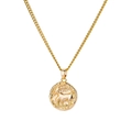 18K gold-plated zodiac necklace featuring a round Capricorn relief pendant on O-chain - Capricorn (YSN860GL-MJ)