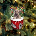 Weihnachtssocken-Anhänger mit Schnauzer, Rentiergeweih und festlicher Beleuchtung - Schnauzer