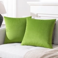 Pair of square green velvet pillow covers displayed on a modern grey sofa - 14# Grass Green / 30*50cm Pillowcase (without Insert)