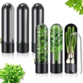 Set di 6 contenitori neri per erbe con coperchi trasparenti per menta e coriandolo - Piccolo / Nero