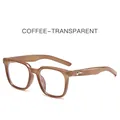 Square coffee transparent sunglasses with resin frame and metal star hinge detail - Wheat Frame Transparent Lens