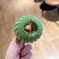 Green velvet bird nest hair clip for bun and ponytail styling with telescopic grip - Velvet Grass Green