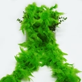 Grass Green