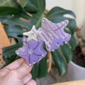 Mollette per capelli a stella marina con strass scintillanti in viola e bianco perlato - Stella Marina Viola