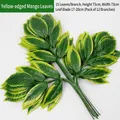 Artificial yellow-edged mango leaves branch with 15 green foliage pieces for decoration - Yellow-edged Mango Leaf