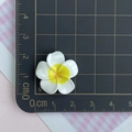 Detailopname van een 3 cm witte en gele frangipani-harsbloem voor DIY-knutselwerkjes - Middelgroot