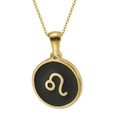 Collier signe Lion en acier inoxydable plaqué or 18K avec pendentif rond symbole - Lion