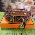 Close-up of pink leopard print pet collar with gold buckle and DOTE ON leather tag - 25-38M / Collar & Leash Set / Dusty Pink