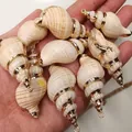 Natürlicher Muschelanhänger mit vergoldetem Rand und Metallschlaufe für DIY-Schmuck - Erdgelbgold geränderte Bananenschnecke