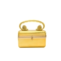 Luxury gold acrylic clutch bag with lion head handles and mirror finish shine - Style 1 (Lion Head Handle) / Gold