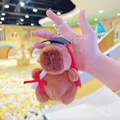 Brown plush capybara keychain wearing a black graduation cap and holding a scroll - Dark Brown Graduation + Silver Clip