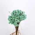 Cyan dried daisy bouquet in a golden geometric wire frame stand for home decor - Light Blue