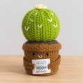 Handmade crochet cactus doll with yellow flower and motivational sign on wood desk - Large Pot - Cactus Ball