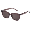 Occhiali da sole cat-eye con montura viola fumo traslucido e lenti grigio scuro - C2-Montatura Tè Viola Lente Marrone