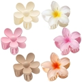 Set van 6 kleurrijke matte en gradiënt plumeria bloem haarklemmen voor dames kapsels - Combinatie van Mat en Transparant (Set Tien)