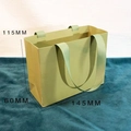 Horizontal Gift Bag Grass Green