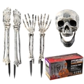 5-piece Halloween skeleton decor kit with skull, arms, and stakes for outdoor lawn display - Skeleton Decoration Set