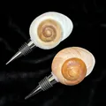 Deep brown natural conch shell wine bottle stopper with stainless steel base - Bread Snail Stopper