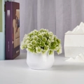 Detail view of artificial green plant with white flowers in a white ceramic pot decoration - White Pine - Round Pot