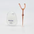 Rose gold portable stainless steel dental floss holder set with 50m mint floss kit - Rose Gold Floss Needle + Floss Box