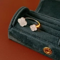 Bague ouverte en argent avec double trèfle en zircon dans un écrin en velours vert chic - Argenté