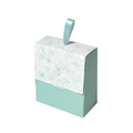 Mini hellgrüne Geschenkbox für Lippenstifte mit Blumenmuster und Schleifenschlaufe - 9*4.5*10cm / Minzgrün Floral