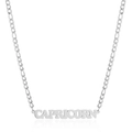 Silver 304 stainless steel necklace with Capricorn zodiac pendant and NK curb chain link - Steel Capricorn