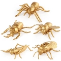 Set di 5 modelli di insetti dorati inclusi scarabeo e ragno per gioco educativo - Set da 5 pezzi / Set di Insetti Piccoli Dorati