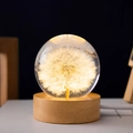 6cm Dandelion Sphere USB Plug-in