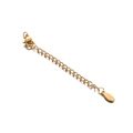 Golden stainless steel extension chain with lobster clasp and oval tag for DIY jewelry - Gold Engraved Oval