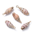 Goldrand Reis-Pink Spitze Schnecke 18-25mm (5 Stck)