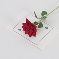 Single velvet red rose branch with realistic petals and green leaves on white background - Rose Red (Small Velvet)