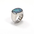 Macro detail of oval abalone shell inlay on a polished silver titanium steel ring - US 7 / Silver Abalone Shell