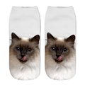 Calze basse unisex con stampa 3D di gatto ragdoll carino e vivace su sfondo bianco - Gatto Ragdoll che si lecca il naso