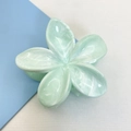 Frangipani hair claw clip in light green marble finish for elegant women hairstyles - 12 Pcs Set (Approx. 8x7x4cm) / Light Green (Marble Pattern)