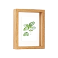 Natural Wood Color